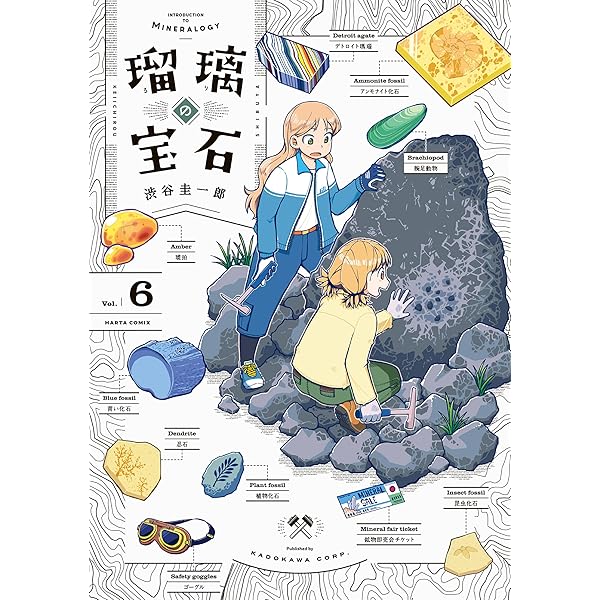 Amazon.co.jp: 瑠璃の宝石 公式図鑑 鉱物生活のススメ (HARTA COMIX